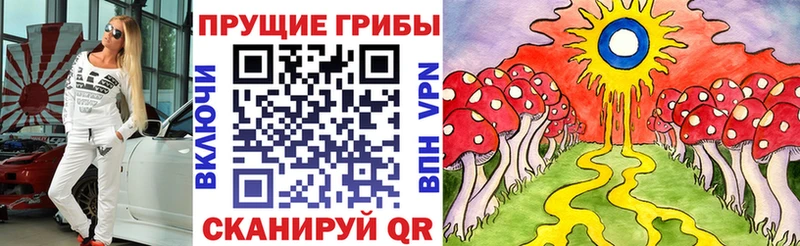 Галлюциногенные грибы Cubensis  KRAKEN как зайти  Качканар 